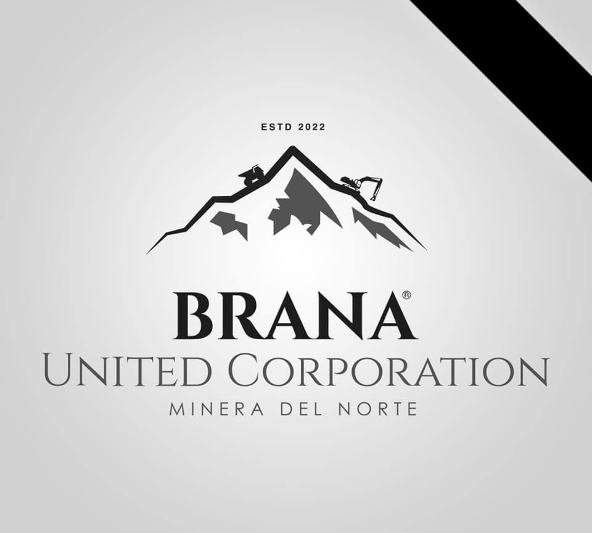 Logo de Brana United Corporation